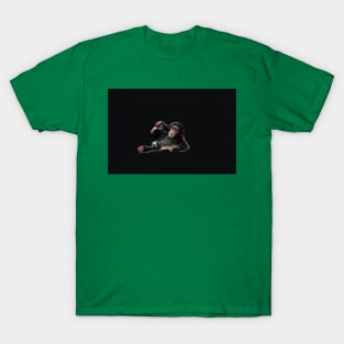 chimpanzee T-Shirt